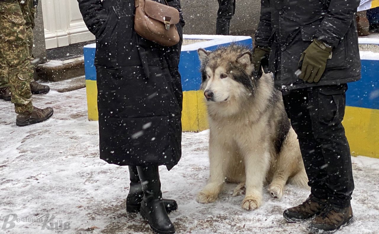 Температура повітря у понеділок близько 0 градусів. Фото: Олександр Галух