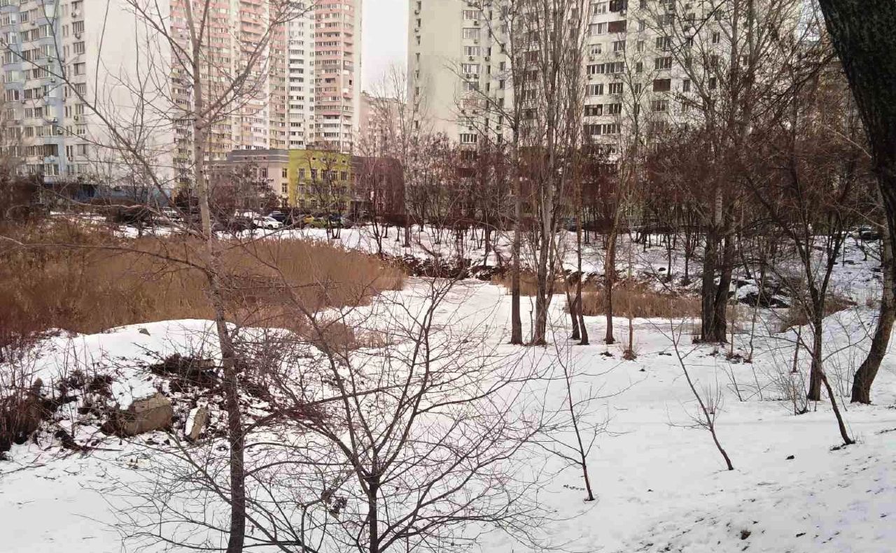 Фото: КО «Київзеленбуд»