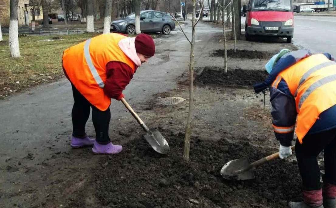 Висадка каштанів на вулиці Зодчих. Фото КП УЗН Святошинського району