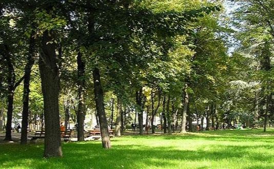 Парки рятують місто від спеки, підтоплень та буревіїв. Фото з відкритих джерел