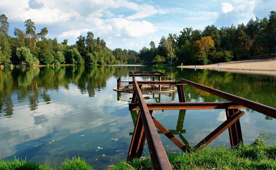 Пуща Водиця. Фото: з відкритих джерел