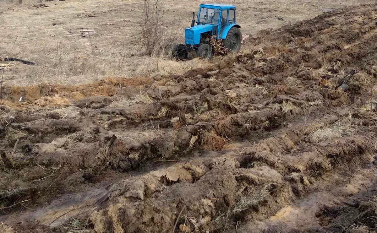 Лісівники розпочинають підготовку ґрунту під посадку. Фото: Дарницьке лісопаркове господарство