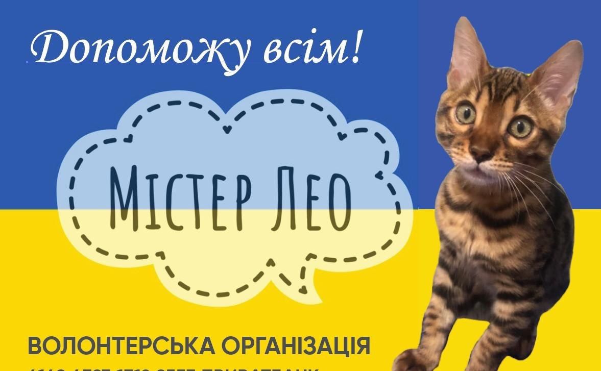 Волонтери доставляють корми для тварин та допомагають біженцям