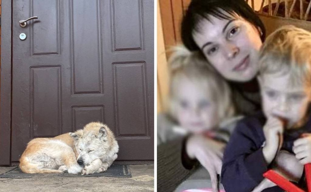 Собака Ріні та його загибла власниця. Колаж: Даша Гришина
