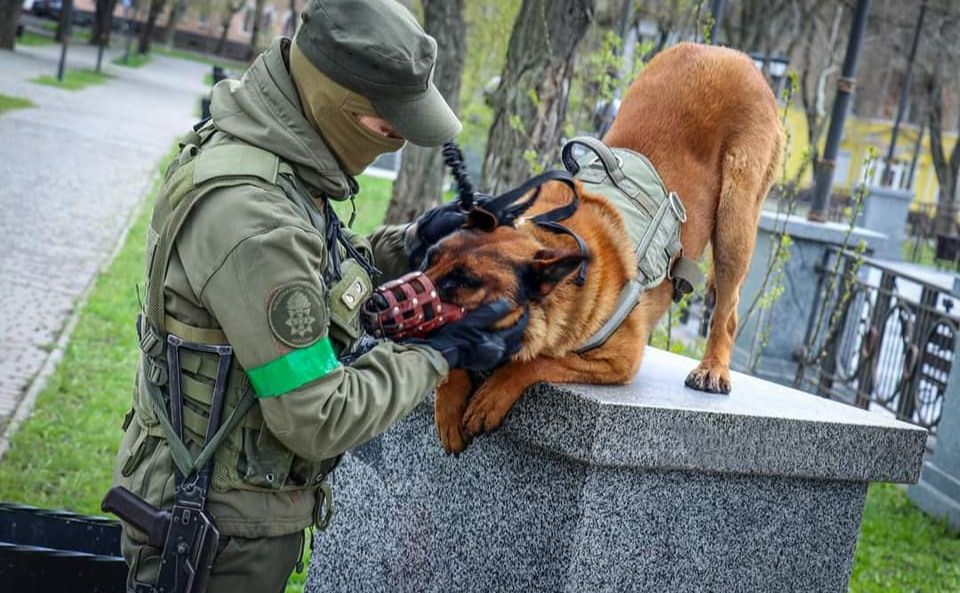 Макс виявився приязним та розумним собакою. Фото 19 полк Нацгвардії