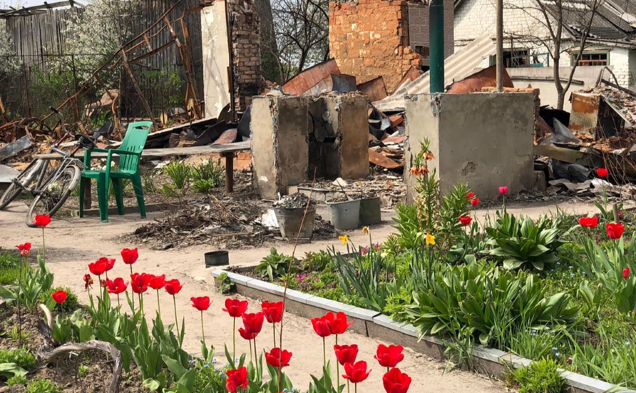 У розбомбленому селі на Чернігівщині. Фото: Ольга Рутковська