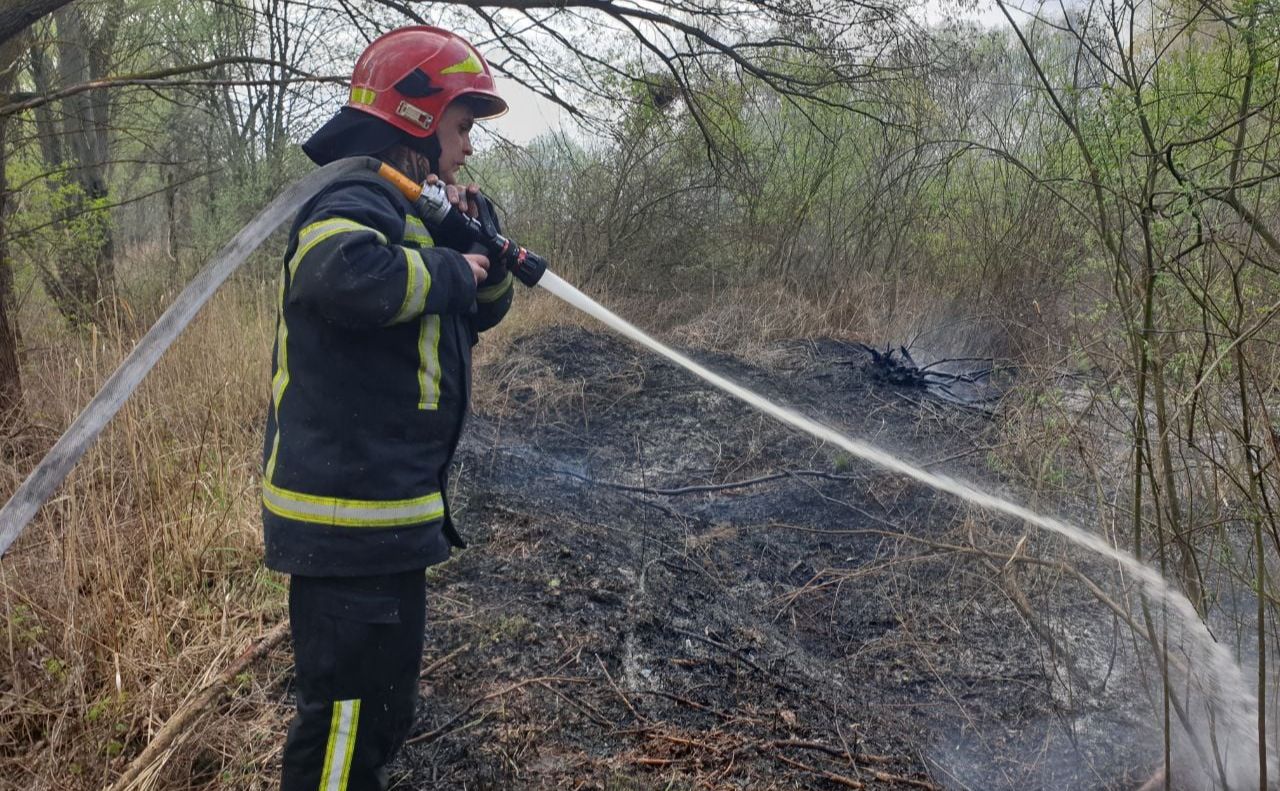 Рятувальники часто виїжджають гасити траву у місті. Фото: ГУ ДСНС у місті Києві