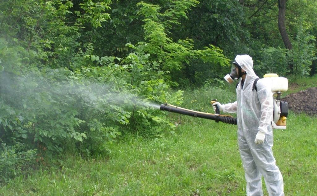 Обробка зелених зон від кліщів. Фото: КП УЗН Дніпровського району