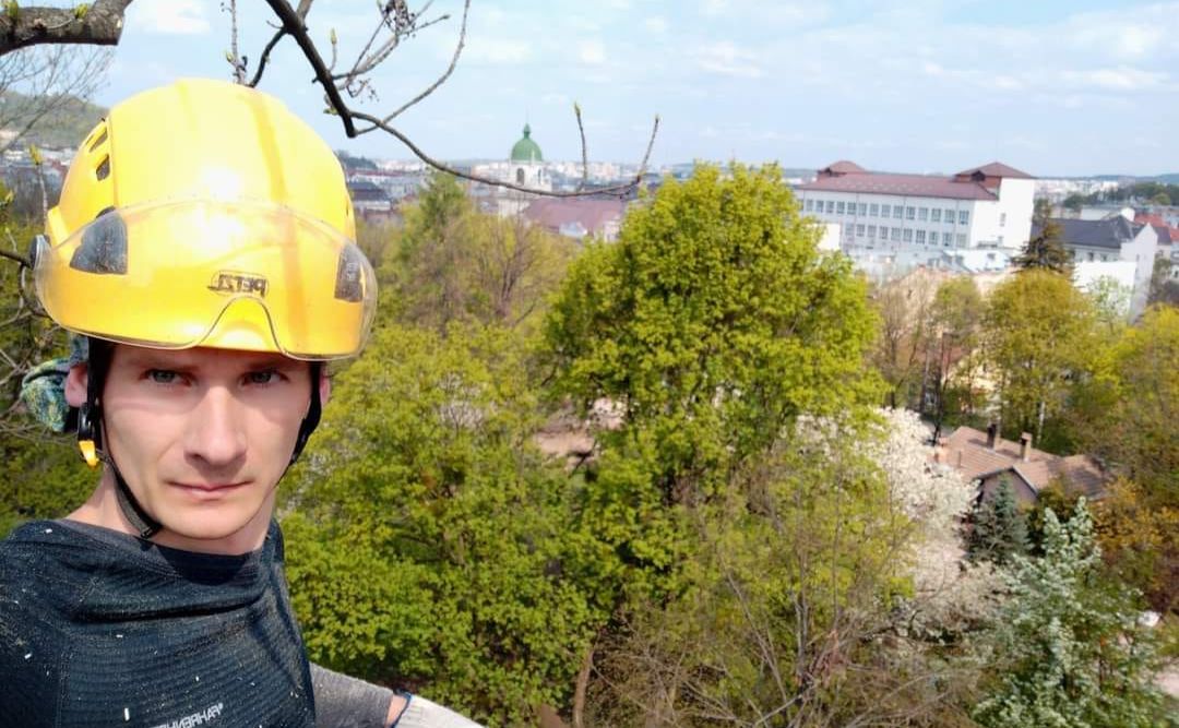 Володимир Ветроградський рятує дерева