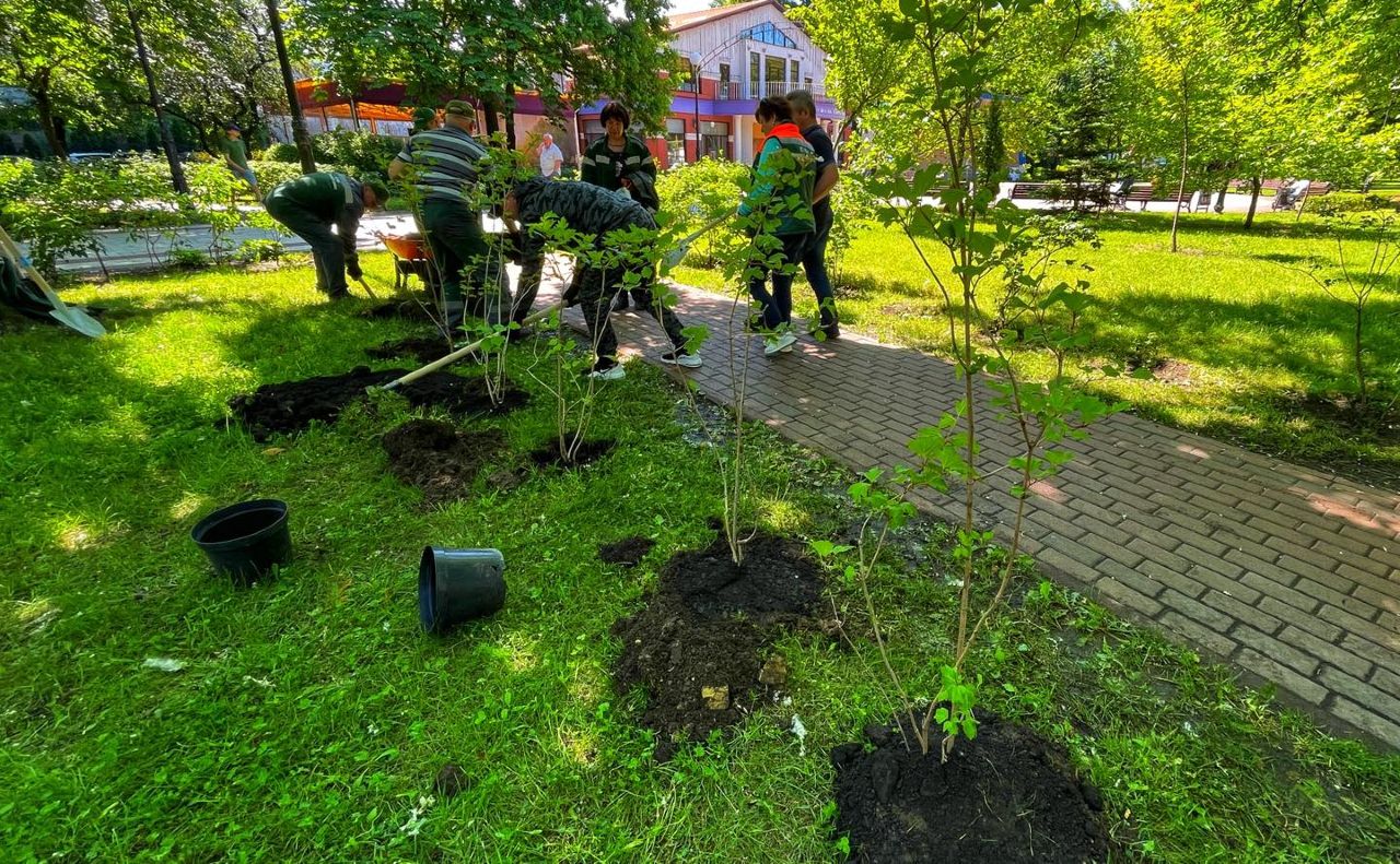 Кожен кущ символізує нескореність та незламність українського народу. Фото: Солом’янська РДА
