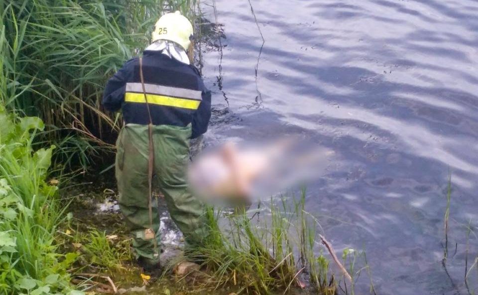 Тіло чоловіка знаходилось на поверхні води. Фото: ГУ ДСНС у Києві