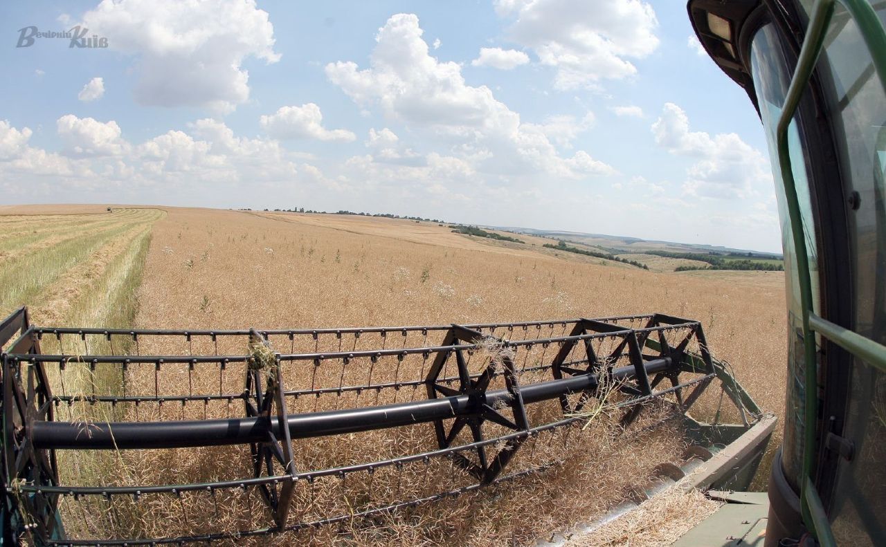 Збір врожаю на Київщині. Фото: Борис Корпусенко
