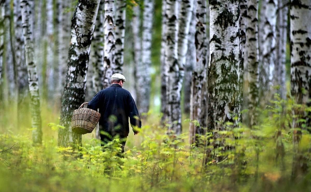 Патрульні всю ніч шукали грибника. Фото: ілюстративне з відкритих джерел