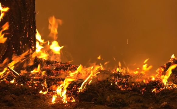 З опівночі до 6 ранку 1 січня пожежники 1098 разів виїжджали на виклики. Фото ілюстративне: з відкритих джерел