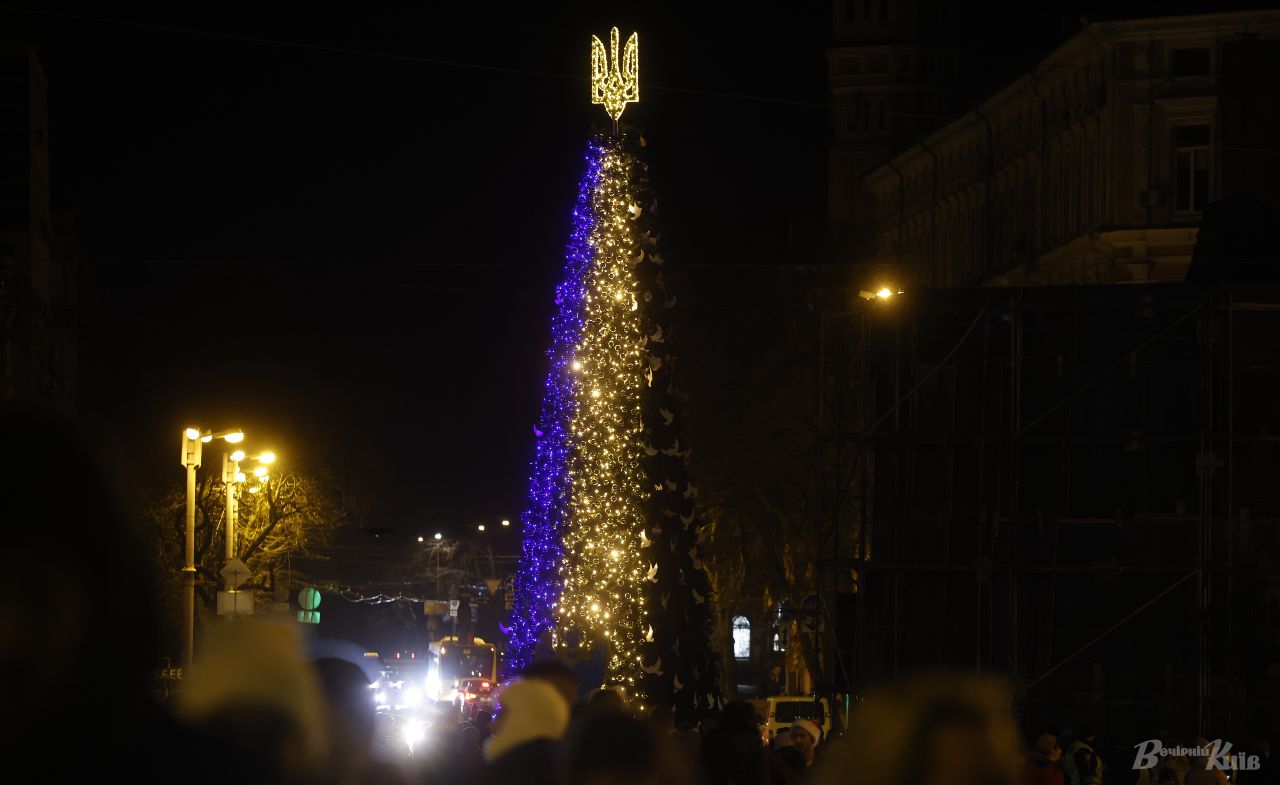 Ялинка підсвічується щодня з 17:00 до 21:00. Фото: Борис Корпусенко