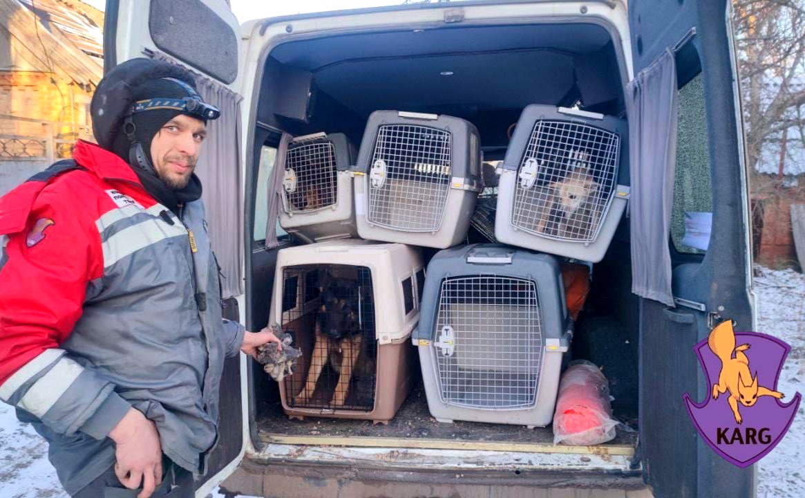 Михайло Сторожук, волонтер та співзасновник «Kyiv animal rescue group» вивозить тварин із Бахмута. Фото: KARG