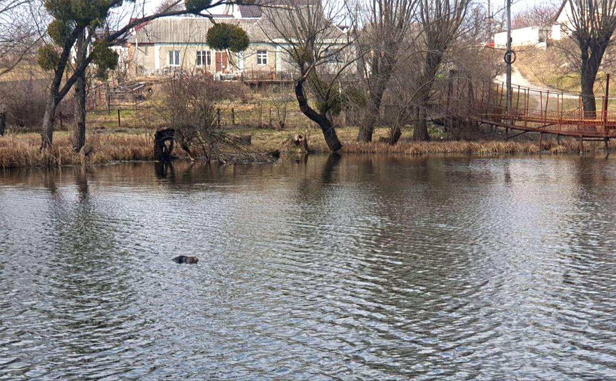 Правоохоронці встановлюють особу загиблого. Фото: поліція Київщини
