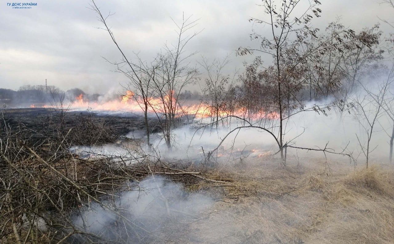 Пожежі на Київщині — одна з причин поганого повітря ранком в столиці. Фото: ДСНС