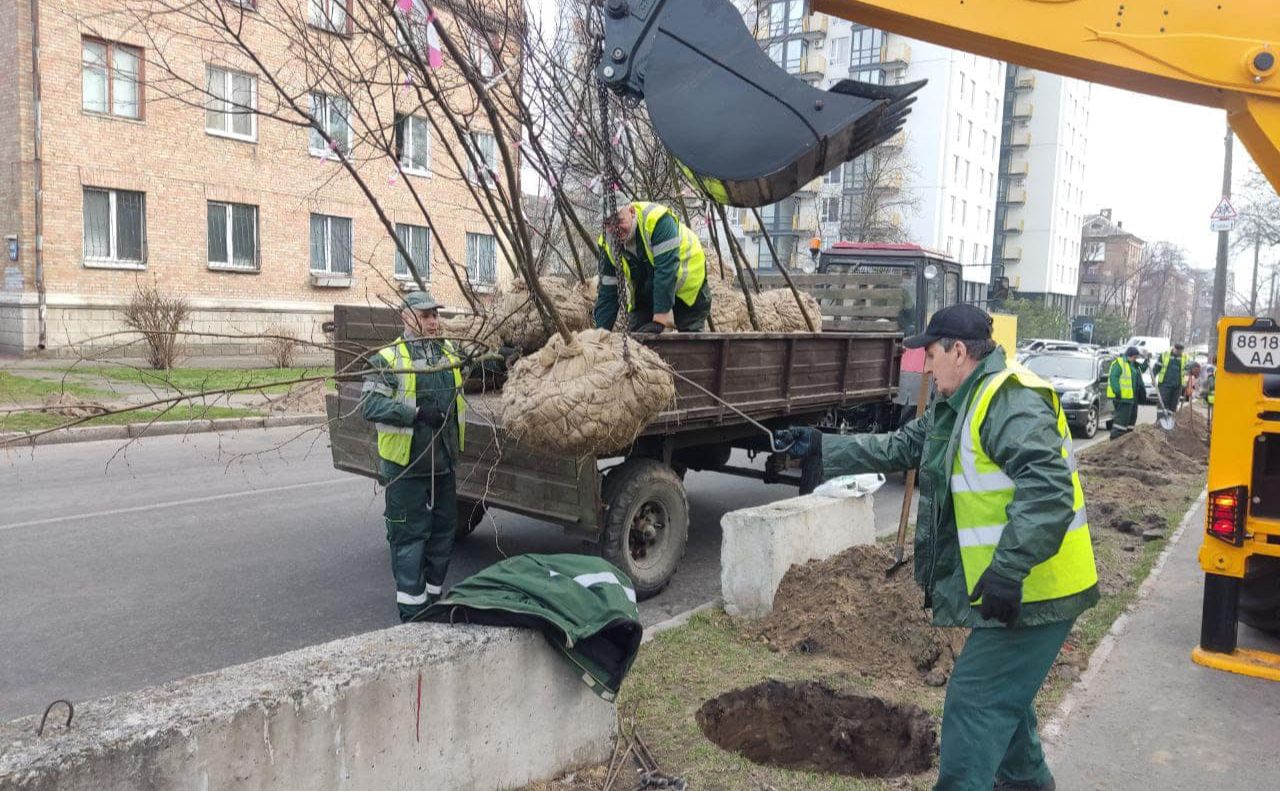 Висадка дерев на Дарниці. Фото: КП УЗН Дарницького району