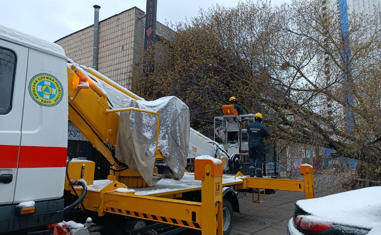 З учорашнього вечора рятувальники прибирають наслідки негоди. Фото: Департамент муніципальної безпеки