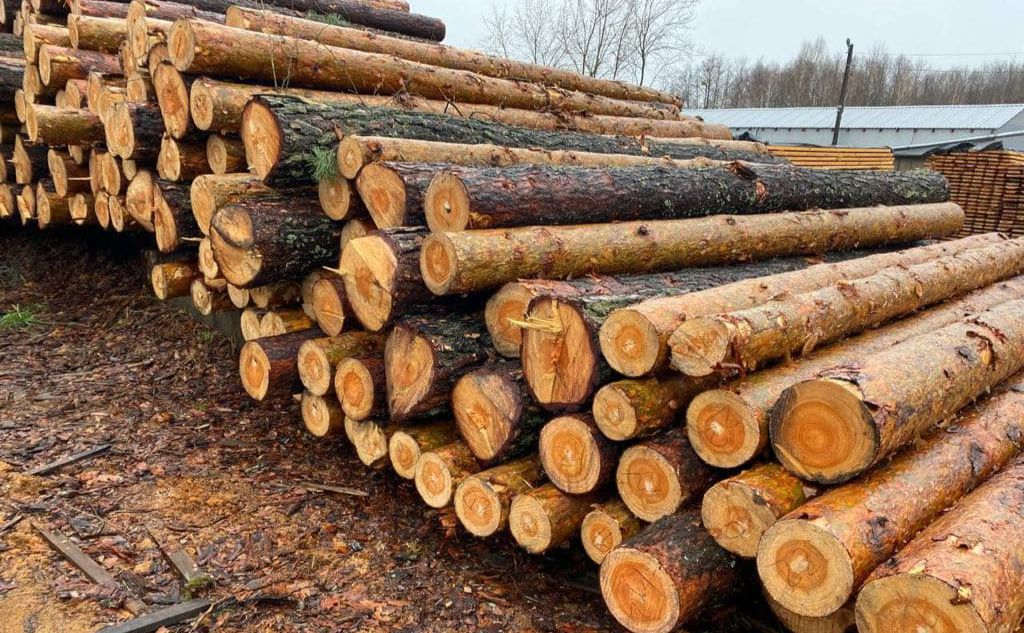 «Чорним лісорубам» загрожує до 7 років тюрми. Фото: поліція Київщини