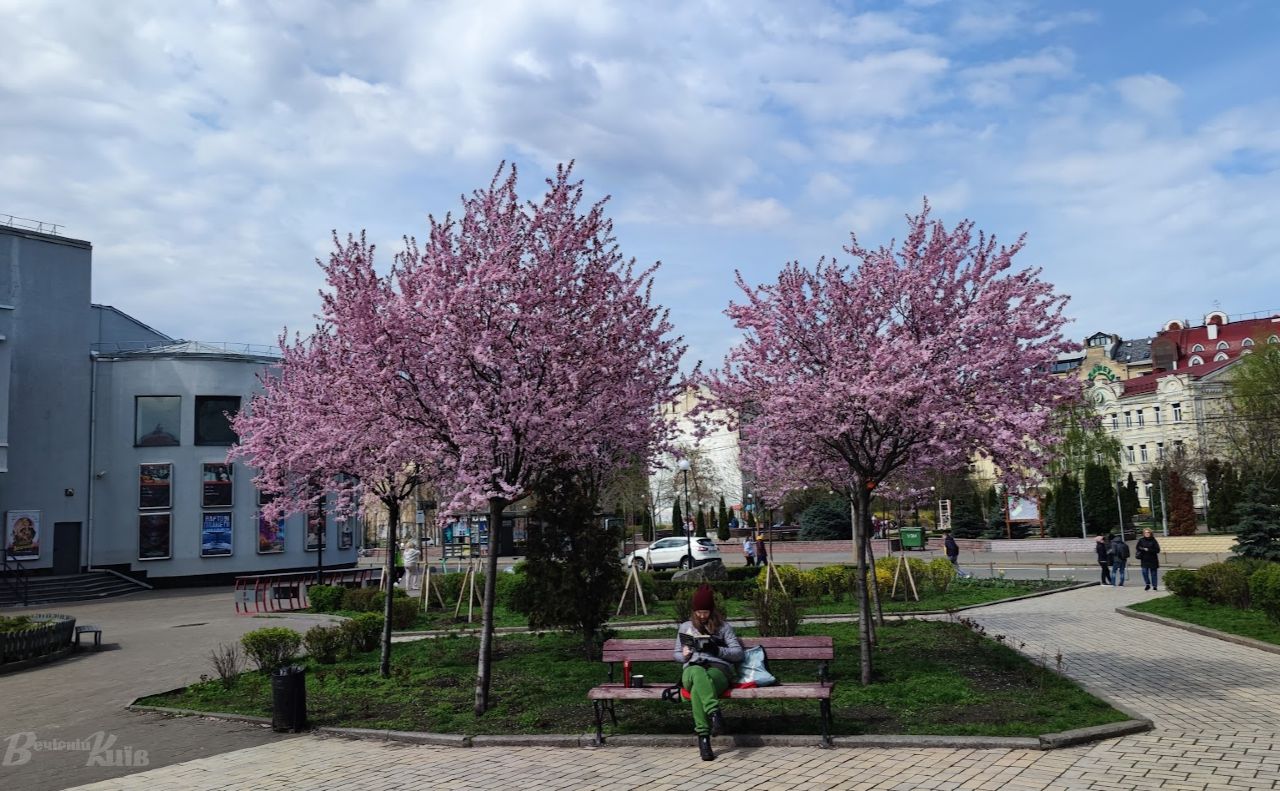 Весняний Поділ. Фото: Катерина Новосвітня