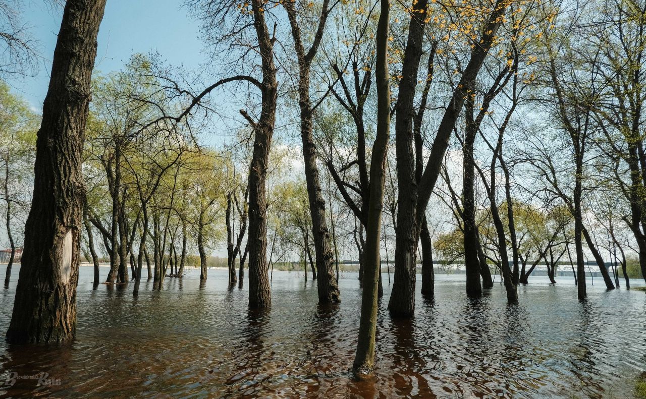 Ілюстративне фото Ярослава Храмова
