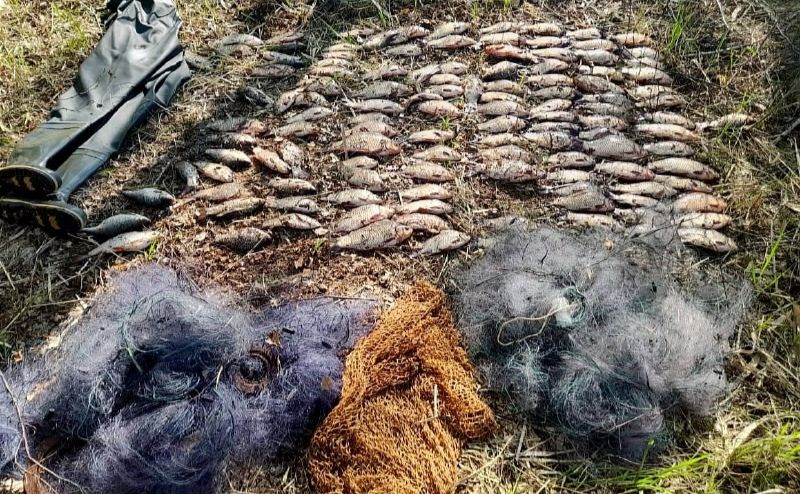 Правоохоронці вилучили рибальське знаряддя та виловлену рибу. Фото: поліція Київщини