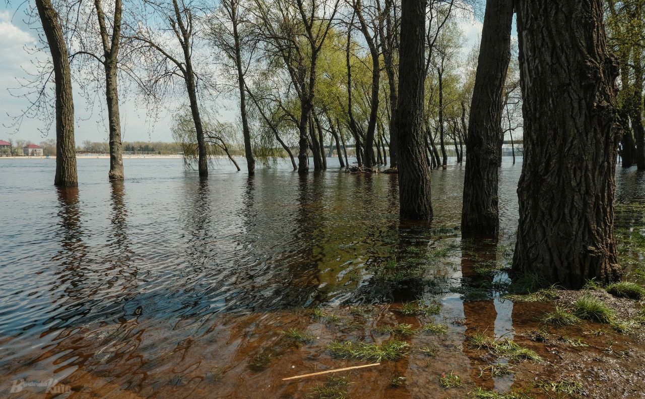 Водопілля у столиці. Фото: Ярослав Храмов