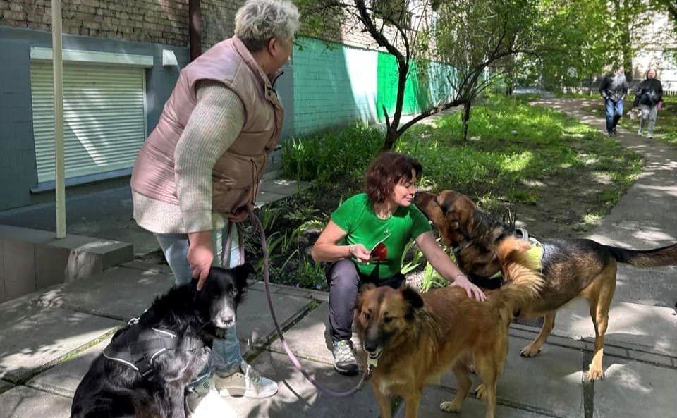 Ініціатива підтримує киян, які потребують допомоги з догляду за тваринами. Фото: сайт Київради