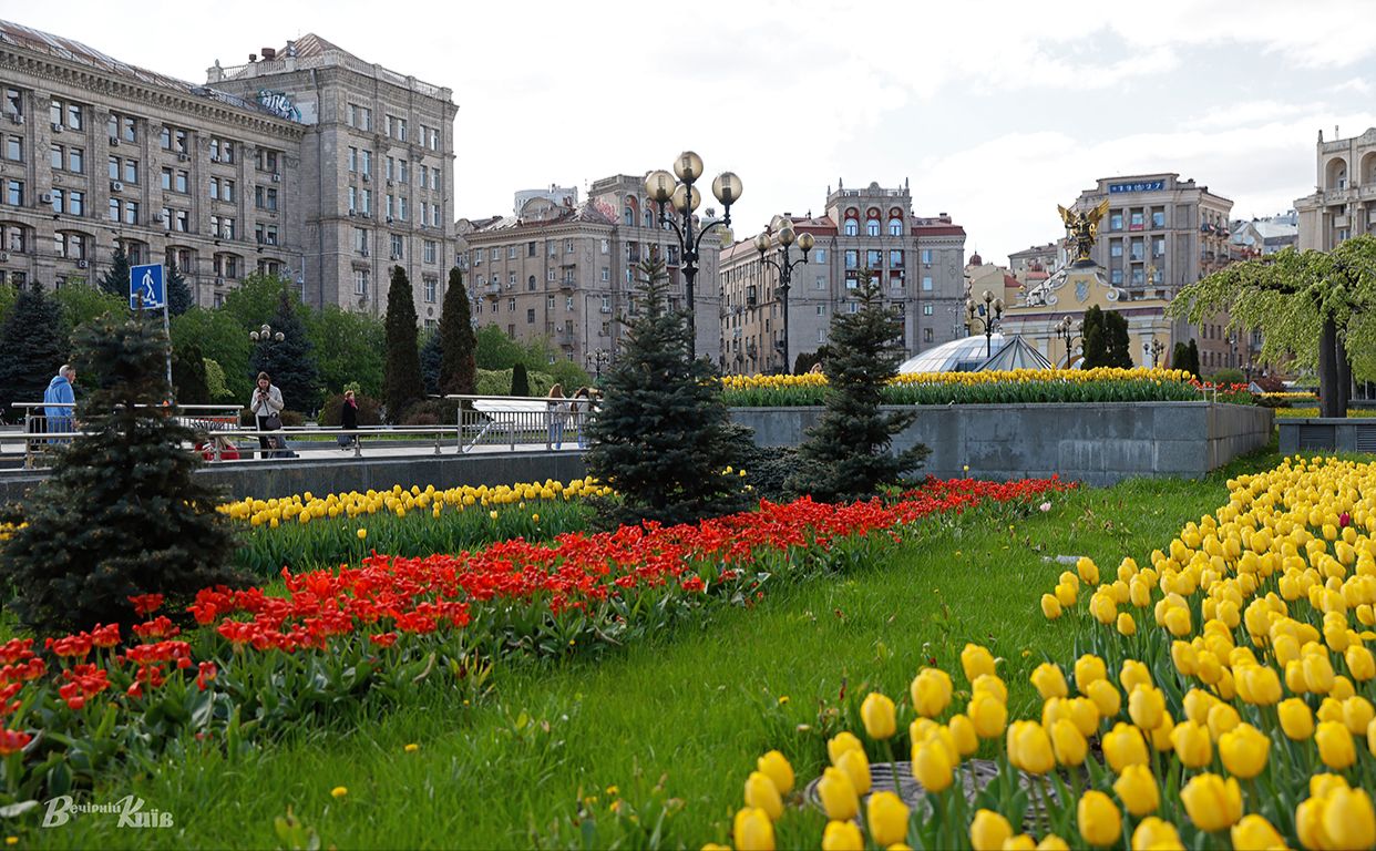 Квітучий Київ. Фото: Борис Корпусенко