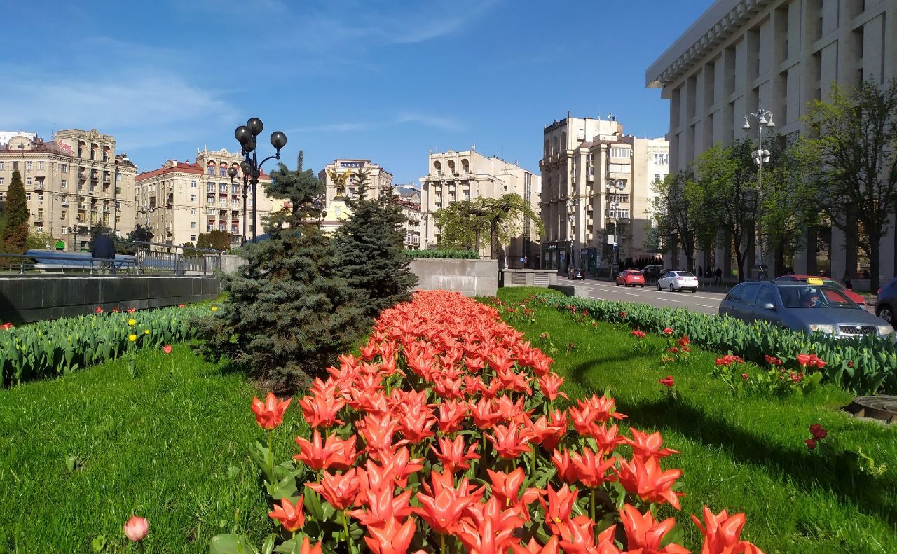 Весна на Майдані Незалежності у Києві. Фото: Київзеленбуд