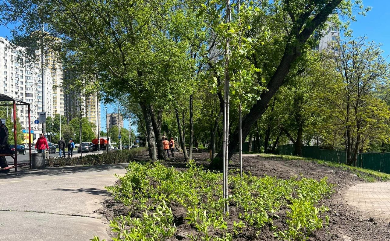 Тепер тут — зелена зона. Фото: Київзеленбуд
