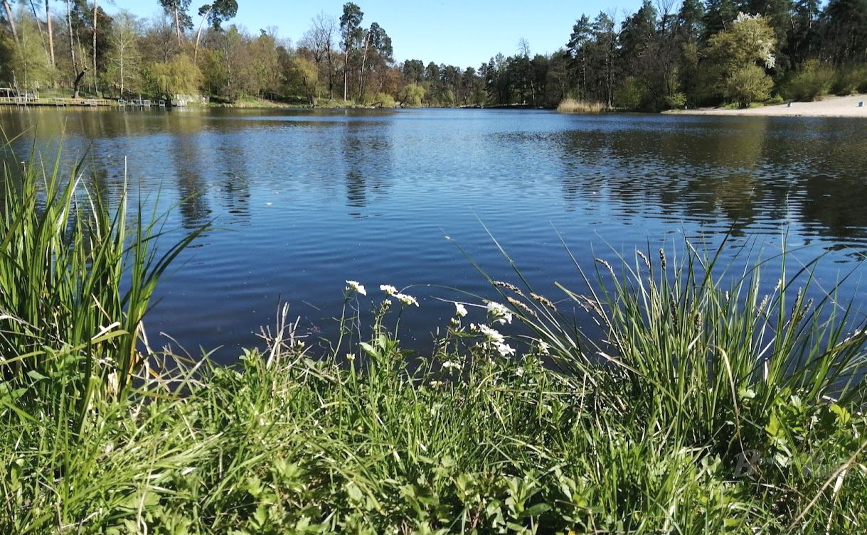 Парк Пуща Водиця. Фото: «Вечірній Київ»
