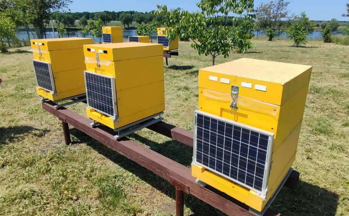 ІТ-пасіка на Київщині. Фото: проєкт USAID «Економічна підтримка України»