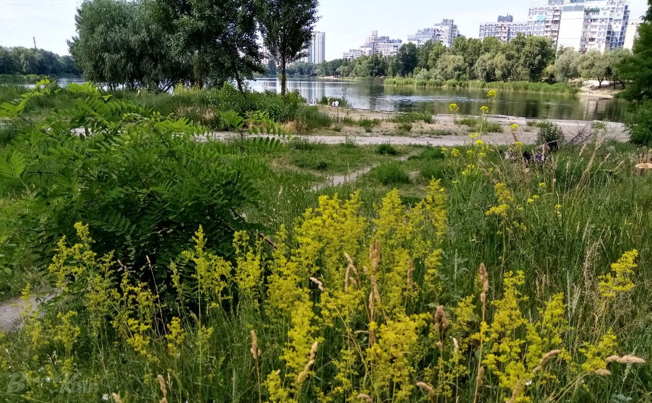 На Оболоні літо. Ілюстративне фото Катерина Новосвітня