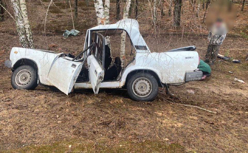 П’яний водій врізався в дерево. Фото: поліція Київщини