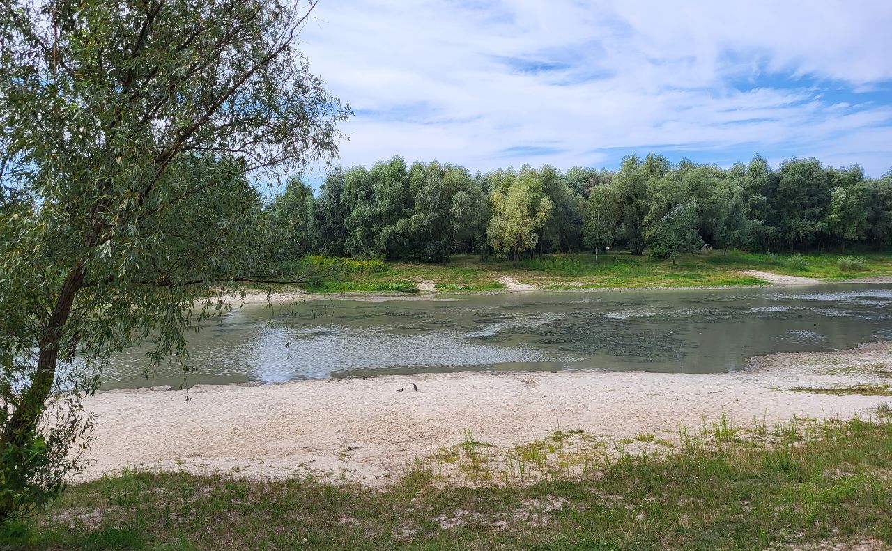 Теперішній стан озера Синє. Фото: Департамент захисту довкілля КМДА