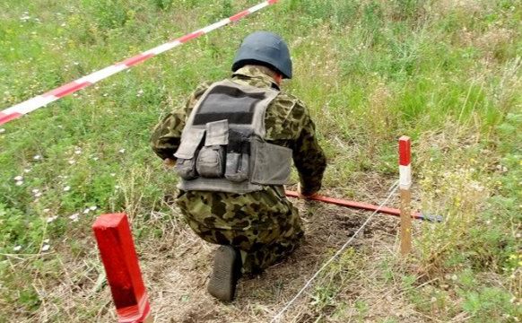 Фото: з відкритих джерел