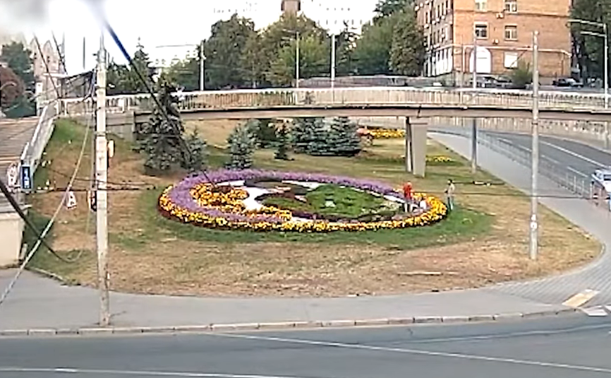 Люжди викопували квіти з клумби. Фото: скрін з відео
