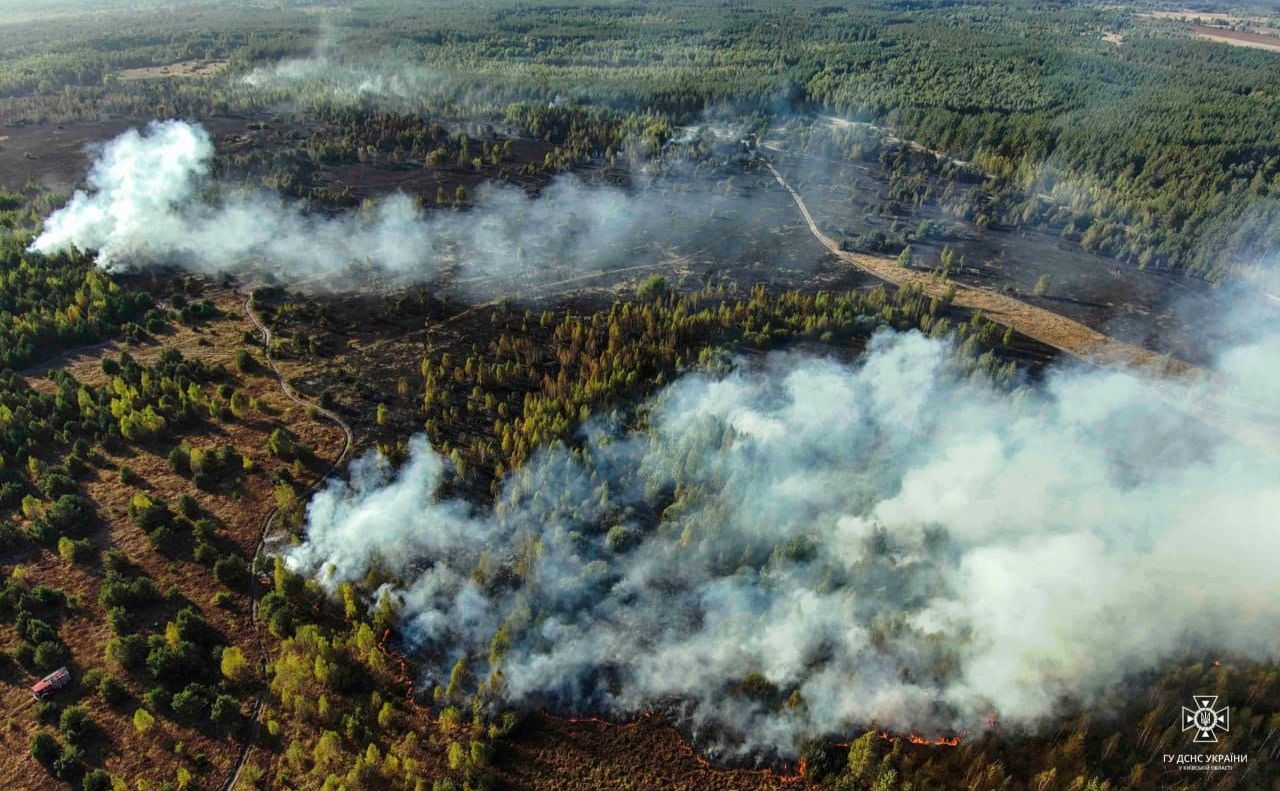 Пожежа сталася на території Плахтянського лісництва
