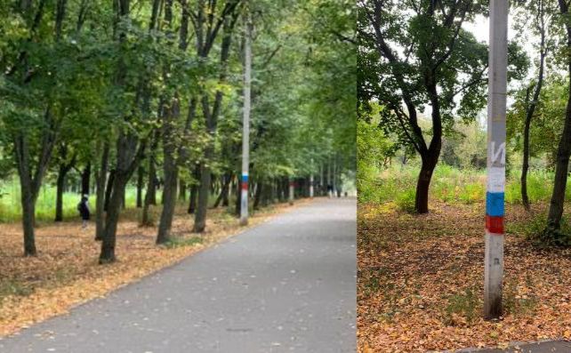 Центральній алея парку на вулиці Біблика у Харкові. Фото: поліція Києва
