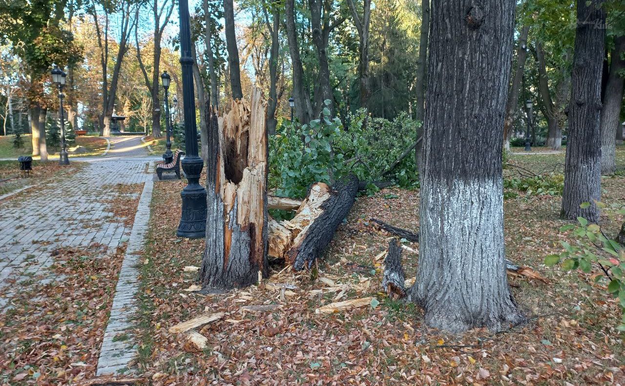Негода пошкодила дерева у Києві. Фото: Ольга Косова