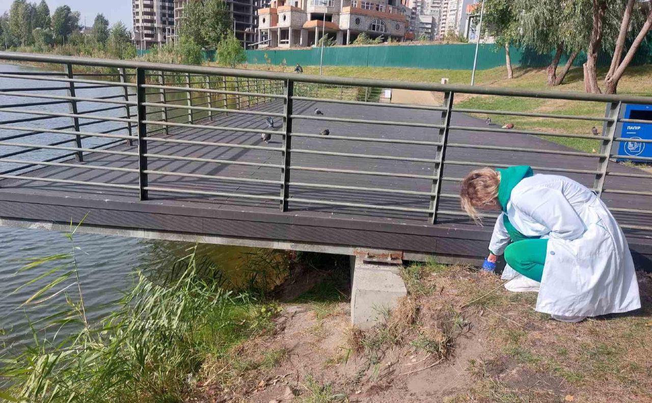 У парку «Я люблю мій парк». Фото: КП УЗН Деснянського району