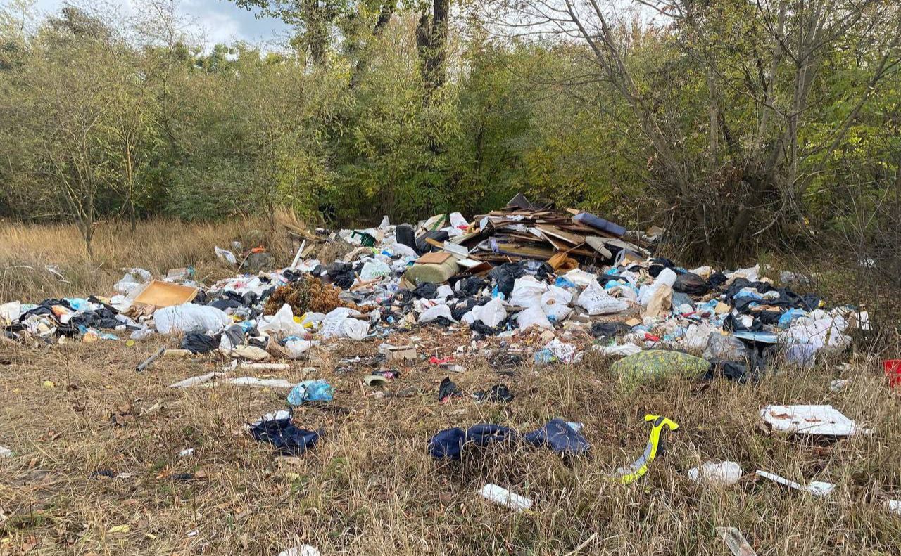 Купи сміття у лісосмугах на Київщині. Фото: Поліція Київської області