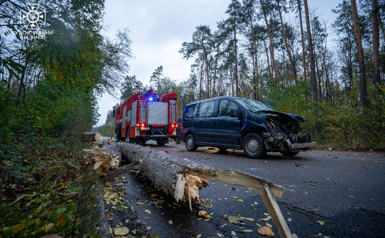 Дерево пошкодило авто, але обійшлося без постаждалих. Фото: ГУ ДСНС у місті Києві