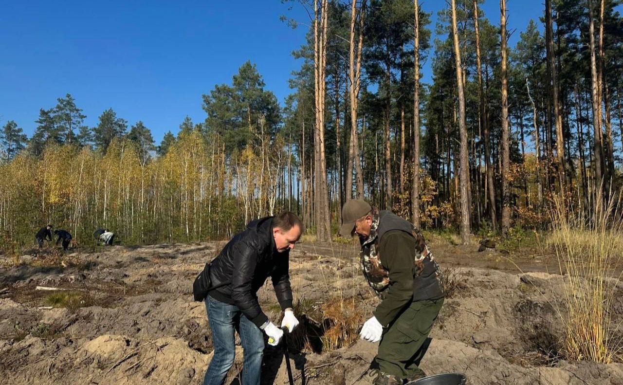 Висадили 4,5 тисячі саджанців. Фото: ФБ Державна екологічна інспекція столичного округу.