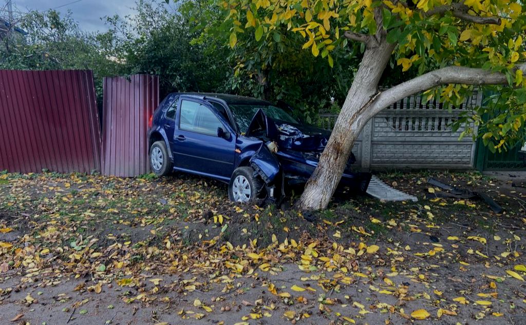 Водія зупинило дерево. Фото: Київська обласна прокуратура