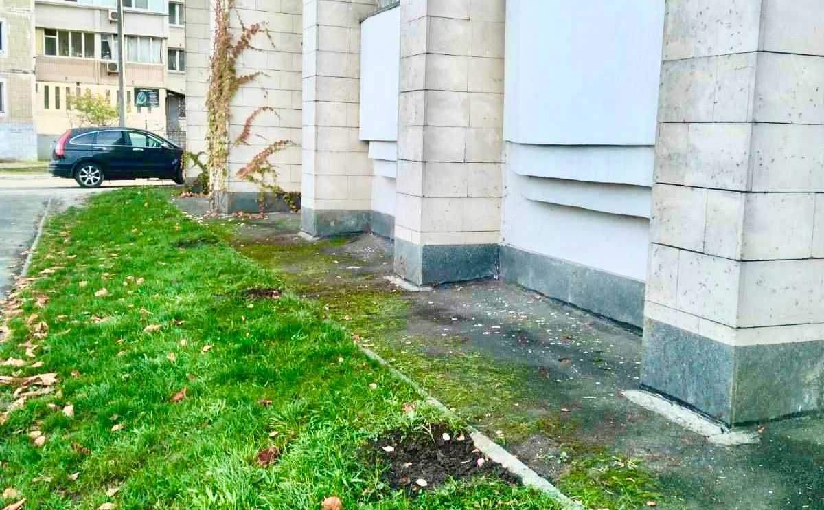 Крадії викопали рослини з корінням. Фото: КО «Київзеленбуд»