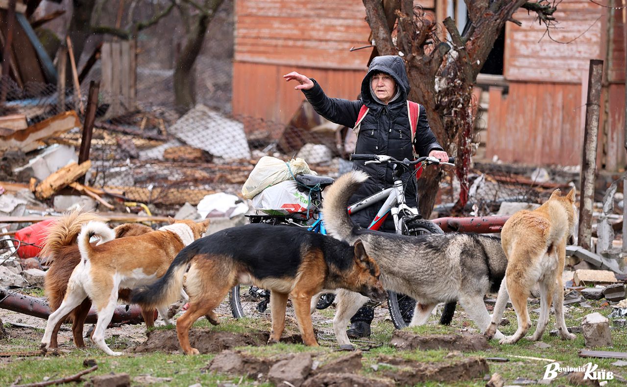 Після обстрілів. Село Новоселівка під Києвом. Фото: Борис Корпусенко